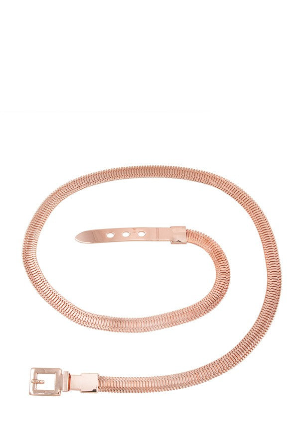 Rail Track Chain Belt