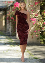 The Pierre Dress | Burgundy