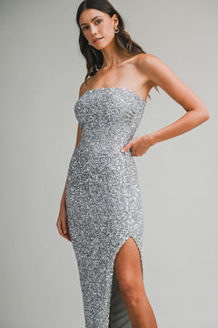 Wonderstruck Dress | Silver