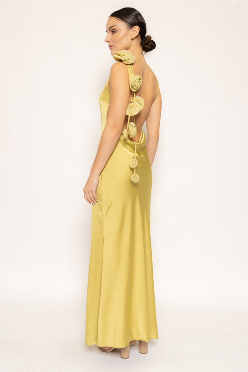 Tuscan Rose Dress | Chartreuse