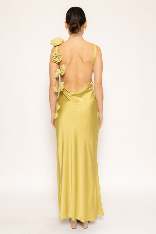 Tuscan Rose Dress | Chartreuse