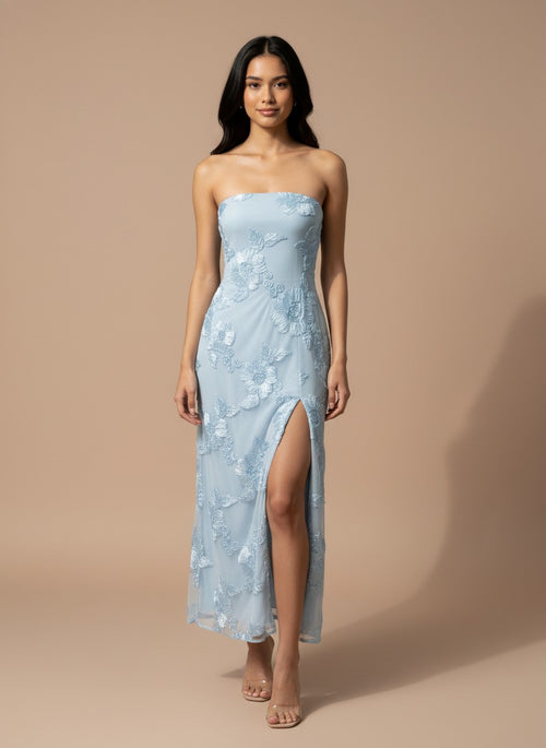Picture Perfect Dress | Blue