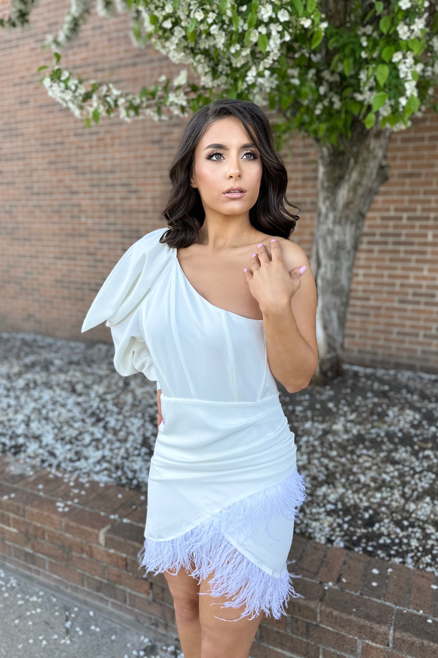 Fashionista Fave Dress (Ivory)