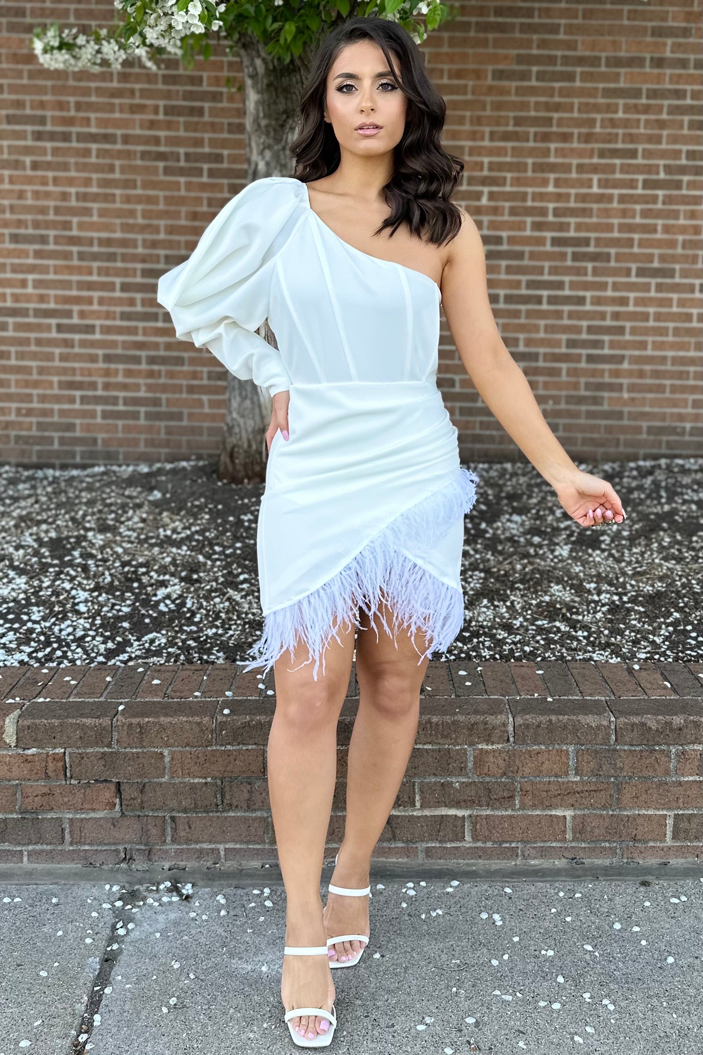 Fashionista Fave Dress (Ivory)
