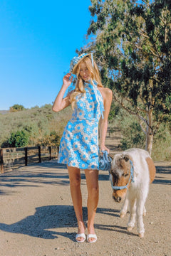 Lace Reverie Dress | Blue/Ivory