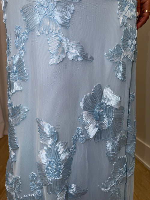 Picture Perfect Dress | Blue