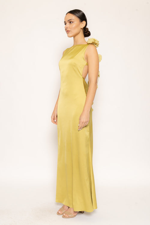 Tuscan Rose Dress | Chartreuse
