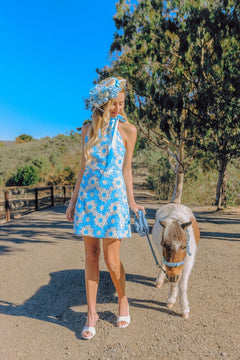 Lace Reverie Dress | Blue/Ivory