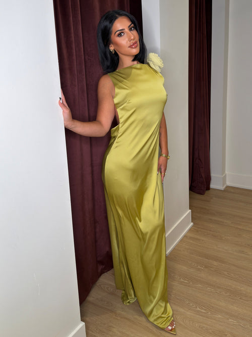 Tuscan Rose Dress | Chartreuse