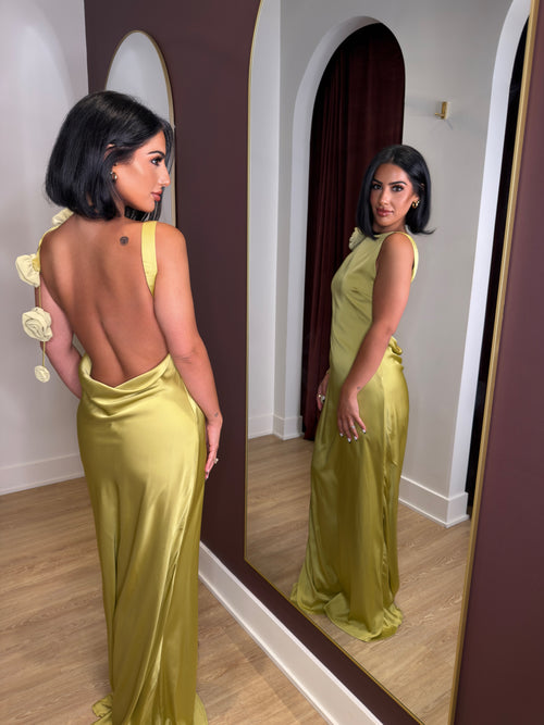 Tuscan Rose Dress | Chartreuse