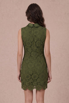 Lace Intentions Dress | Olive