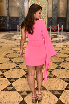 Feminine Flair Dress (Pink)