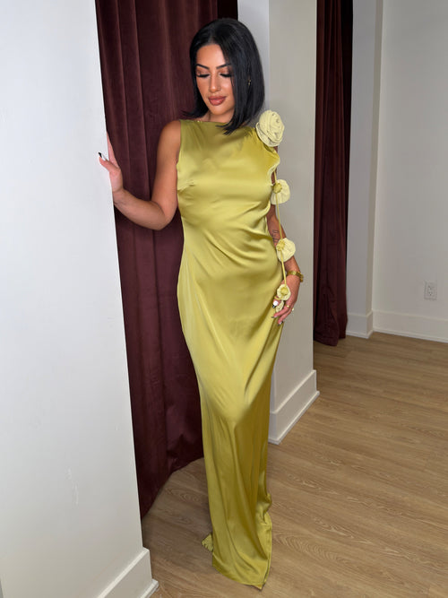 Tuscan Rose Dress | Chartreuse