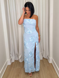 Picture Perfect Dress | Blue