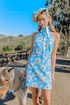 Lace Reverie Dress | Blue/Ivory