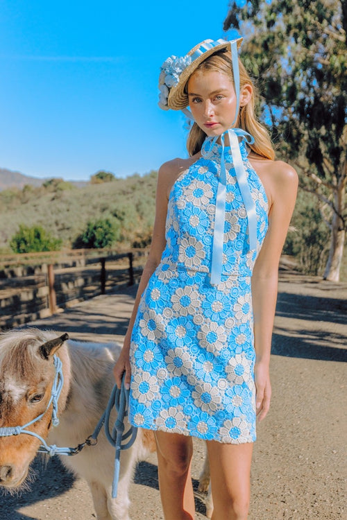 Lace Reverie Dress | Blue/Ivory