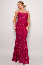 Elegant long dress with velvet fabric and sequin detail throughout.